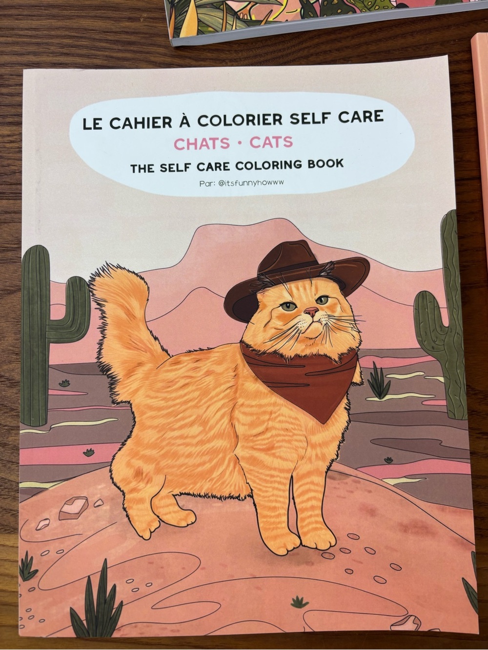 It’s Funny Howww Coloring Books The self Care collection (3) - Picture 8 of 10